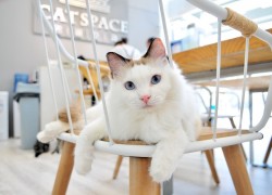 赏金大对决的背后:设计者的创意与构思