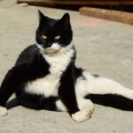 赏金大对决:从玩家的角度看游戏设计 1w9wzv8