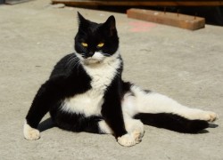 赏金大对决:从玩家的角度看游戏设计