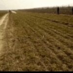 在现代社会中,赏金女王的崛起与挑战 33ym314