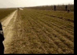 在现代社会中,赏金女王的崛起与挑战