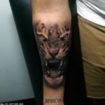 赏金女王试玩:探索不同玩法带来的乐趣 3jph3