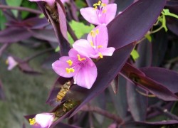 赏金女王的职业风险:如何规避潜在危险