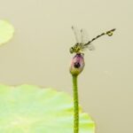 在赏金大对决中,智勇双全才是王道 fd4nr