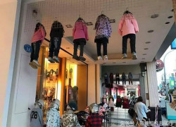 庆余年电游的未来更新与玩家期待内容