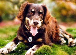 赏金女王试玩:从新手到高手的成长之路