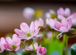 从零开始:赏金女王的成长之路与心路历程